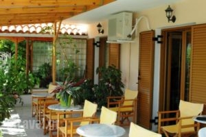 Angela Apartments_holidays_in_Apartment_Aegean Islands_Samos_Kokkari