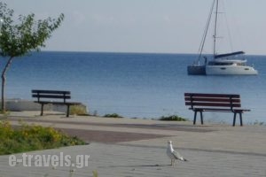 Pantelis_holidays_in_Hotel_Ionian Islands_Kefalonia_Poros