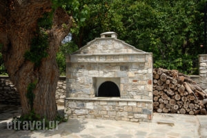 Villa Befani_holidays_in_Villa_Thessaly_Magnesia_Chorto