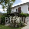 Villa Befani_best prices_in_Villa_Thessaly_Magnesia_Chorto