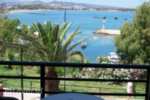 Arocaria Apartments_lowest prices_in_Apartment_Crete_Chania_Chania City