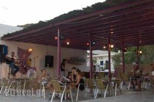 Purple Pig Stars Camping & Bungalows_best deals_Hotel_Cyclades Islands_Ios_Ios Chora