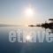 Zinas Villas_holidays_in_Villa_Cyclades Islands_Mykonos_Agios Stefanos