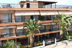 Apartments Dimitra_holidays_in_Apartment_Macedonia_Halkidiki_Paralia Dionysou