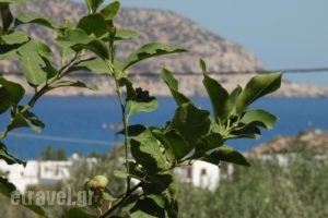 Vardes Hotel Studios_travel_packages_in_Dodekanessos Islands_Karpathos_Karpathos Chora