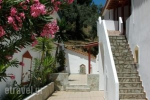 Villa Teozenia_best deals_Villa_Thessaly_Magnesia_Milies