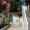 Villa Teozenia_best deals_Villa_Thessaly_Magnesia_Milies