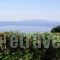 Thanasis Apartments_best deals_Apartment_Ionian Islands_Kefalonia_Kefalonia'st Areas