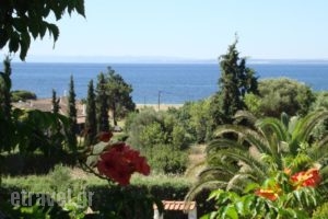 Haus Eleonas_best deals_Hotel_Macedonia_Halkidiki_Poligyros