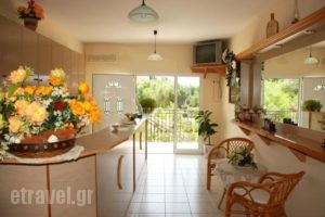 Dallas_best prices_in_Apartment_Ionian Islands_Kefalonia_Svoronata