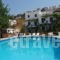 Pension Irene_accommodation_in_Hotel_Cyclades Islands_Ios_Ios Chora