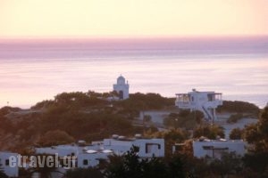 Vardes Hotel Studios_best prices_in_Hotel_Dodekanessos Islands_Karpathos_Karpathos Chora