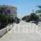 Sofia_holidays_in_Hotel_Aegean Islands_Samos_MarathoKambos